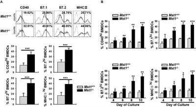 Mst1-Deficiency Induces Hyperactivation of Monocyte-Derived Dendritic Cells via Akt1/c-myc Pathway